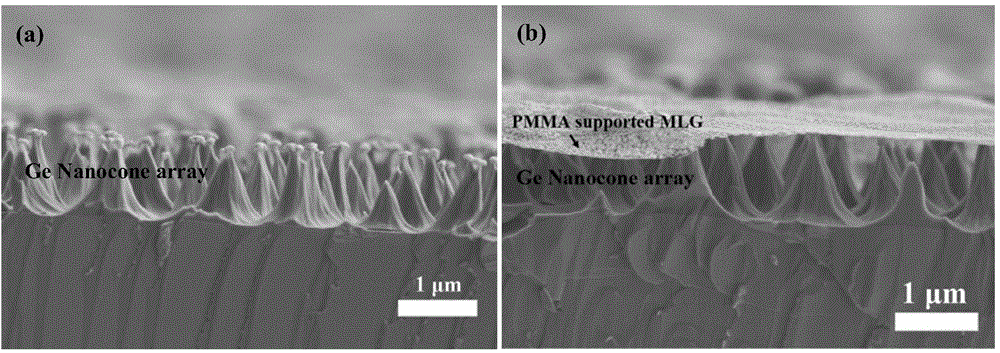 P-type graphene/N-type germanium nanocone array schottky junction infrared photoelectric detector and preparation method thereof