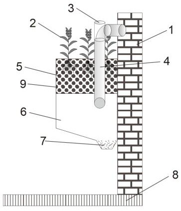 A plant-type monomer solid-based ecological revetment system