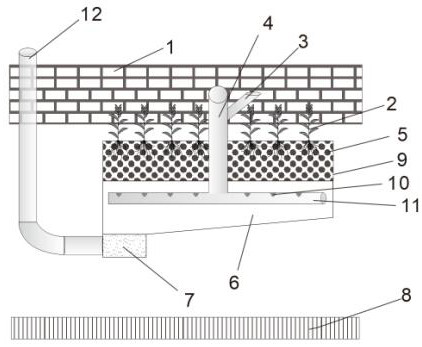 A plant-type monomer solid-based ecological revetment system