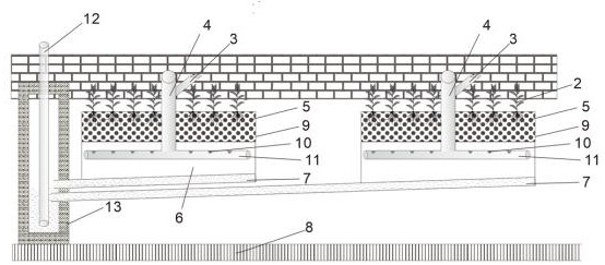 A plant-type monomer solid-based ecological revetment system