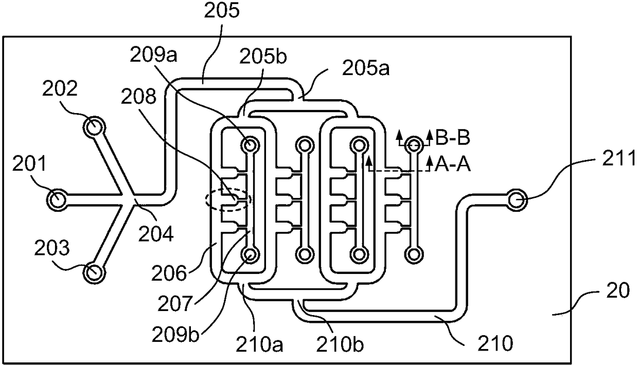 A microfluidic chip for in situ control culture of animal tissues