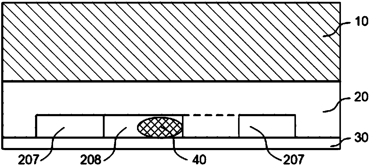 A microfluidic chip for in situ control culture of animal tissues