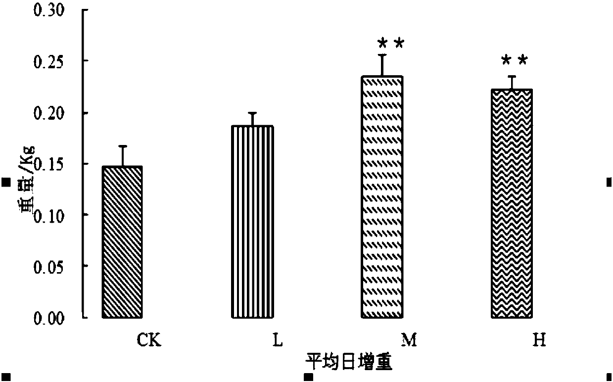 Composite microorganism composition and feed for piggies at lactation period