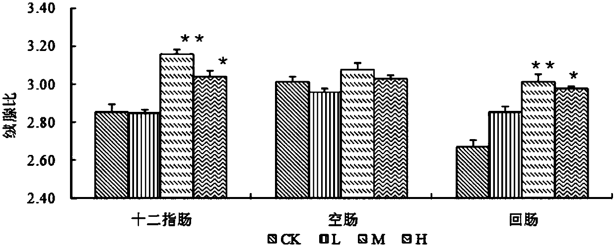 Composite microorganism composition and feed for piggies at lactation period