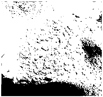 Method for separating antimony from hydrochloric acid-chloride salt solution