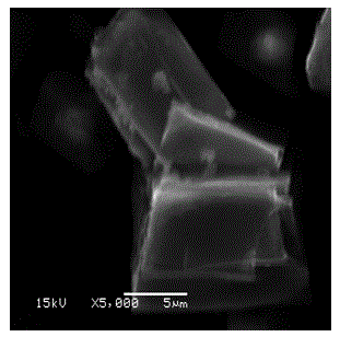 Preparation method of visible light activated brick-shaped nano-copper ferrite photocatalyst and application thereof