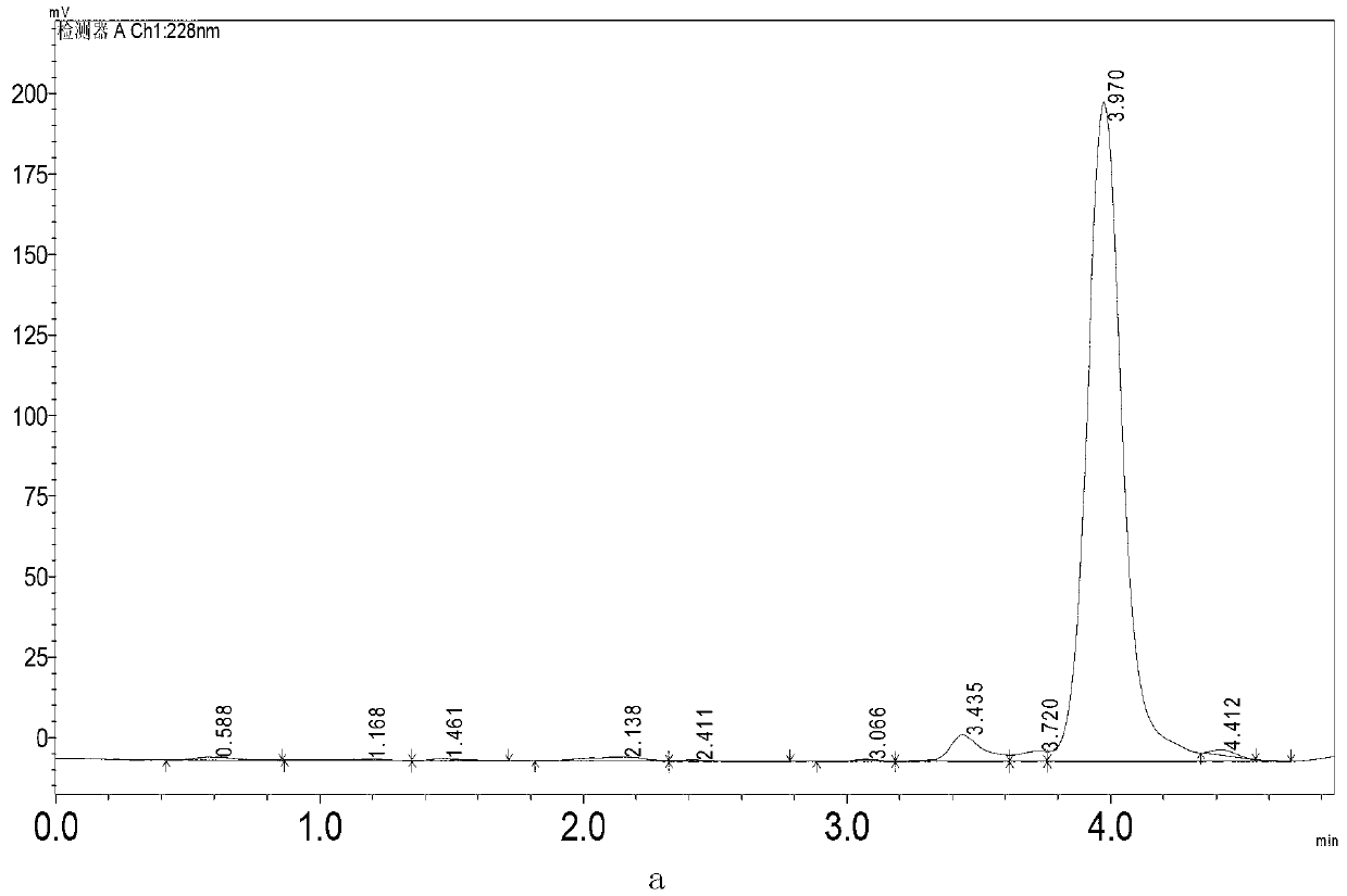 Microorganism composition for degrading acetochlor and/or butachlor and application of microorganism composition