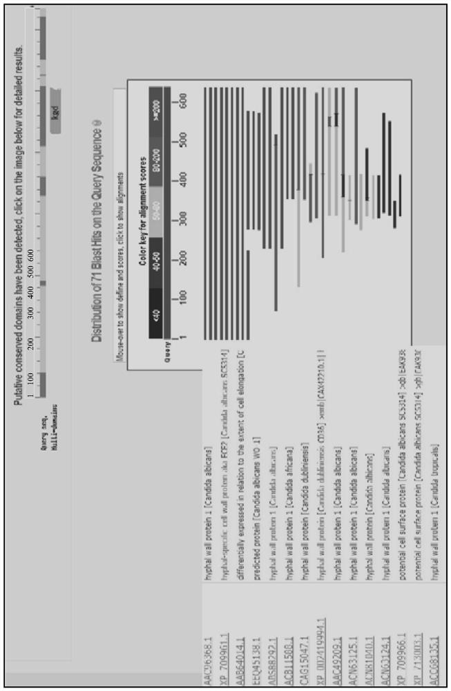 A kind of antigen for detecting invasive candidiasis albicans and use thereof