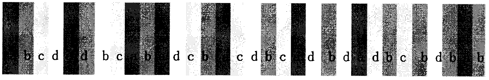 Rapid three-dimensional measurement method based on color grating projection