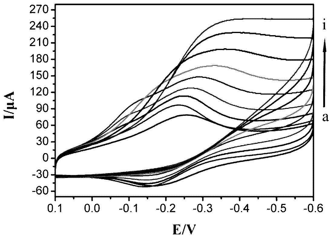 Construction method of electrochemical biosensor based on biomass carbon-nanogold, and analysis application