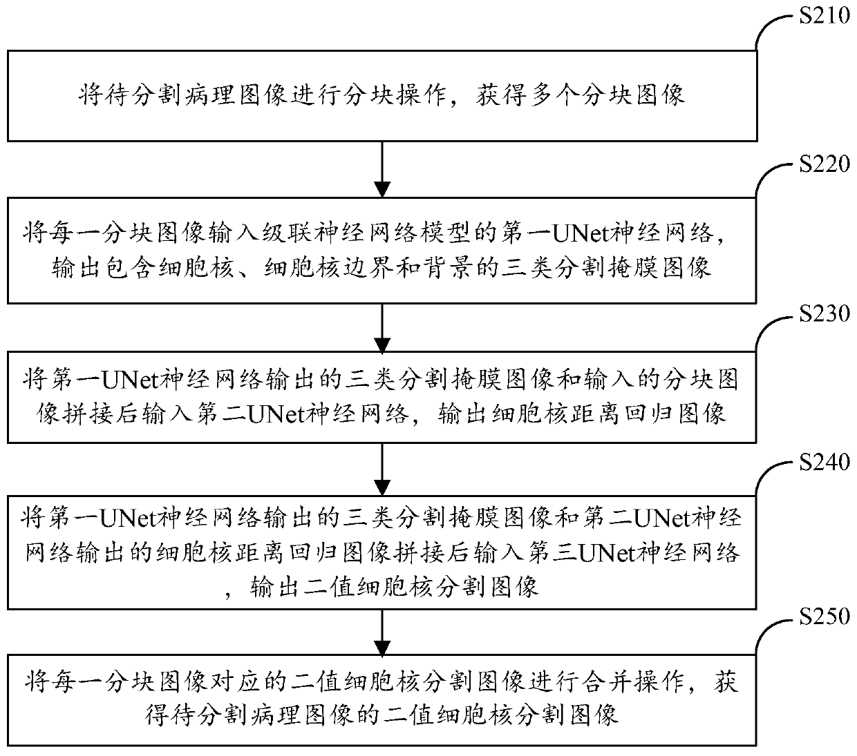 Image segmentation method and device and neural network model training method and device