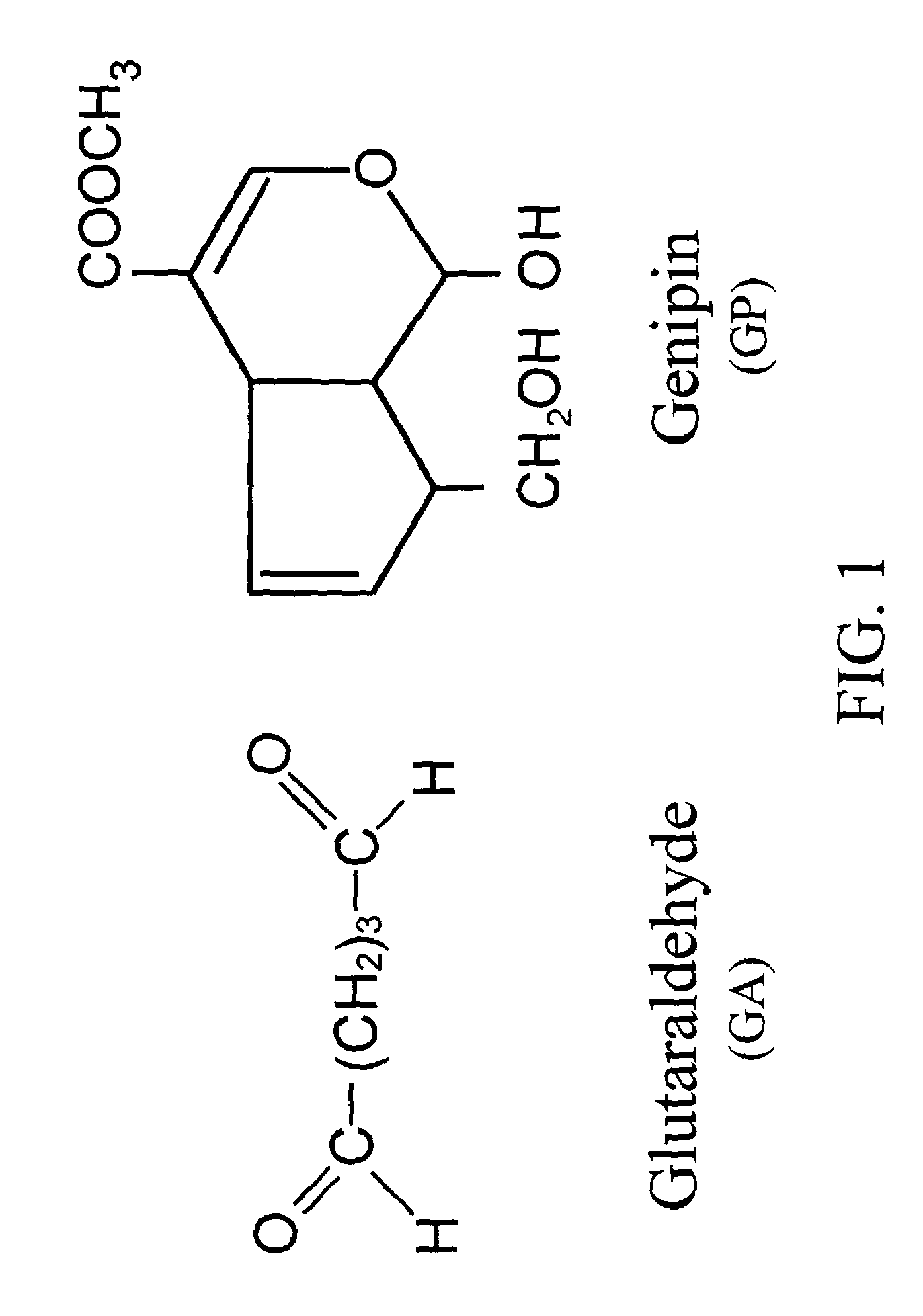 Acellular biological material chemically treated with genipin