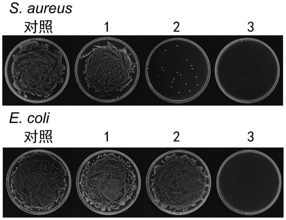 A kind of antibacterial and mildew proof polyurethane paint film based on n-alkyl glycol amine and preparation method thereof