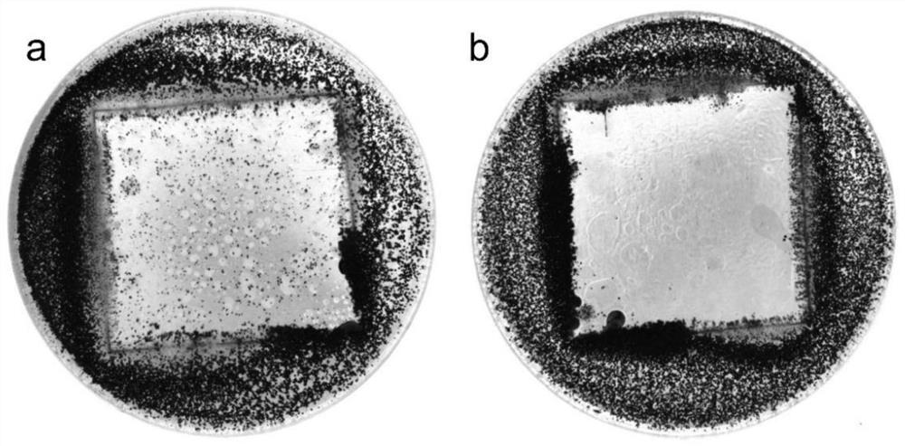 A kind of antibacterial and mildew proof polyurethane paint film based on n-alkyl glycol amine and preparation method thereof