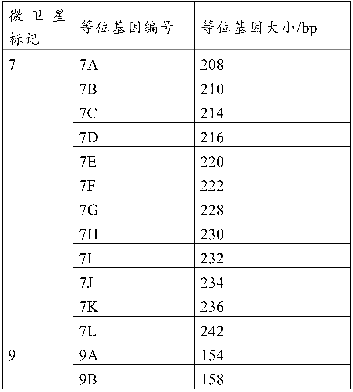 Specific microsatellite primer composition used for identifying experimental miniature pig variety and method for identifying experimental miniature pig variety