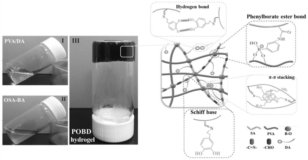 Injectable sodium alginate/polyvinyl alcohol/dopamine-based hydrogel capable of being rapidly recombined in situ