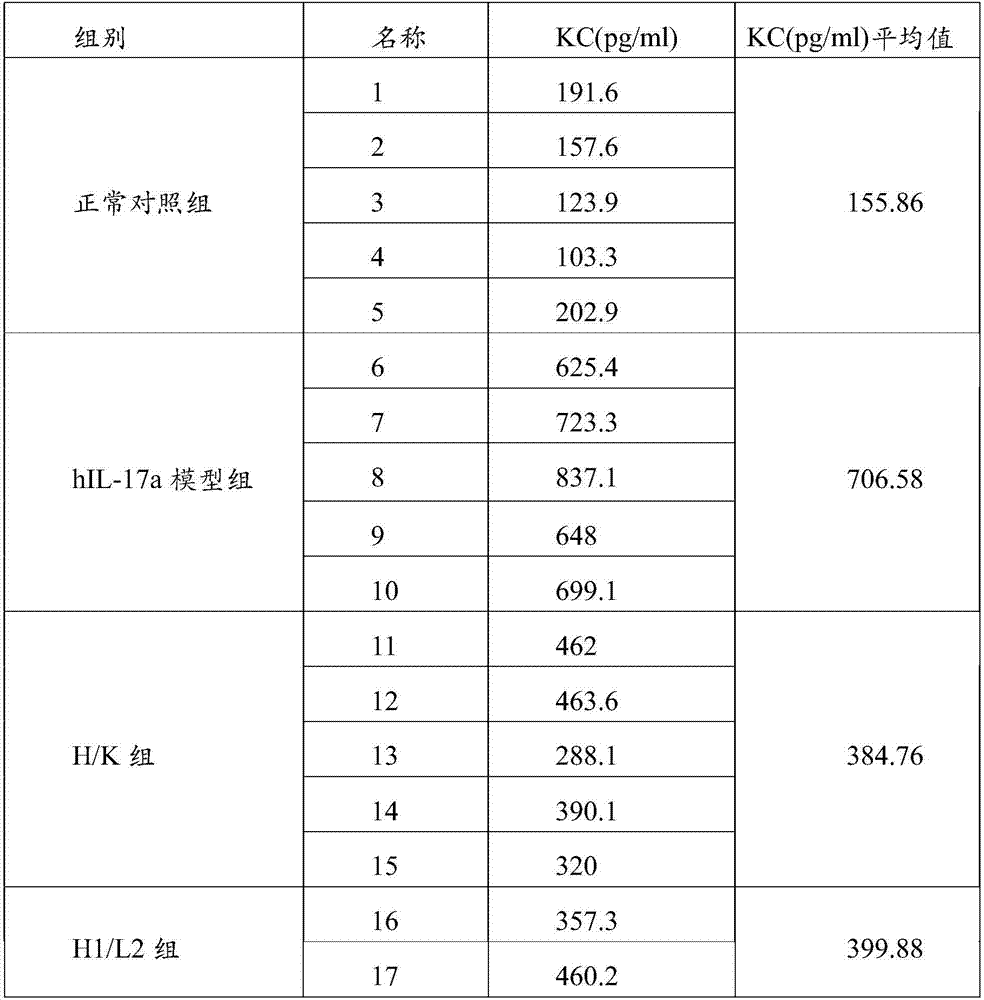 IL-17 antibody