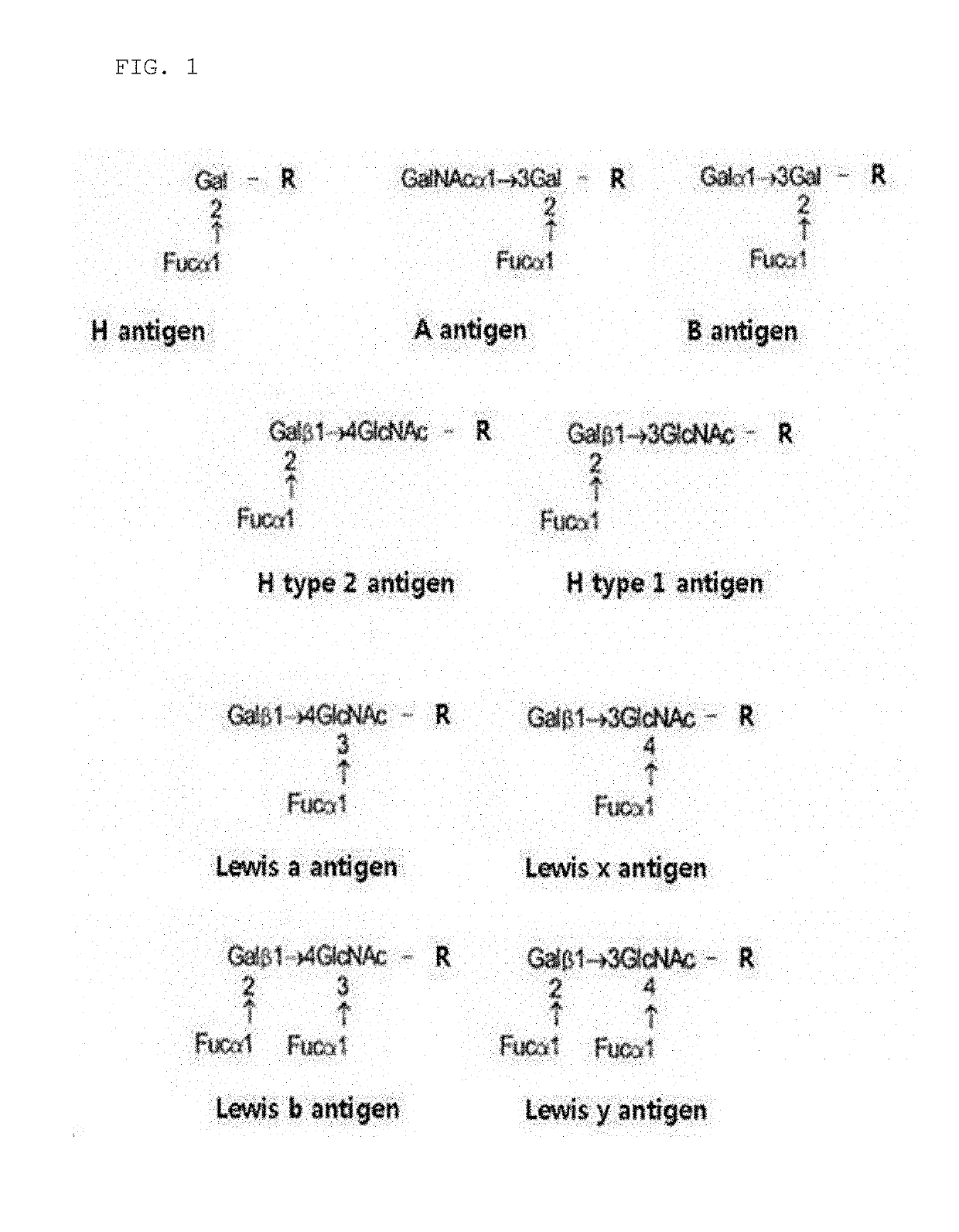 Composition containing substance for regulating expresson of abh antigens