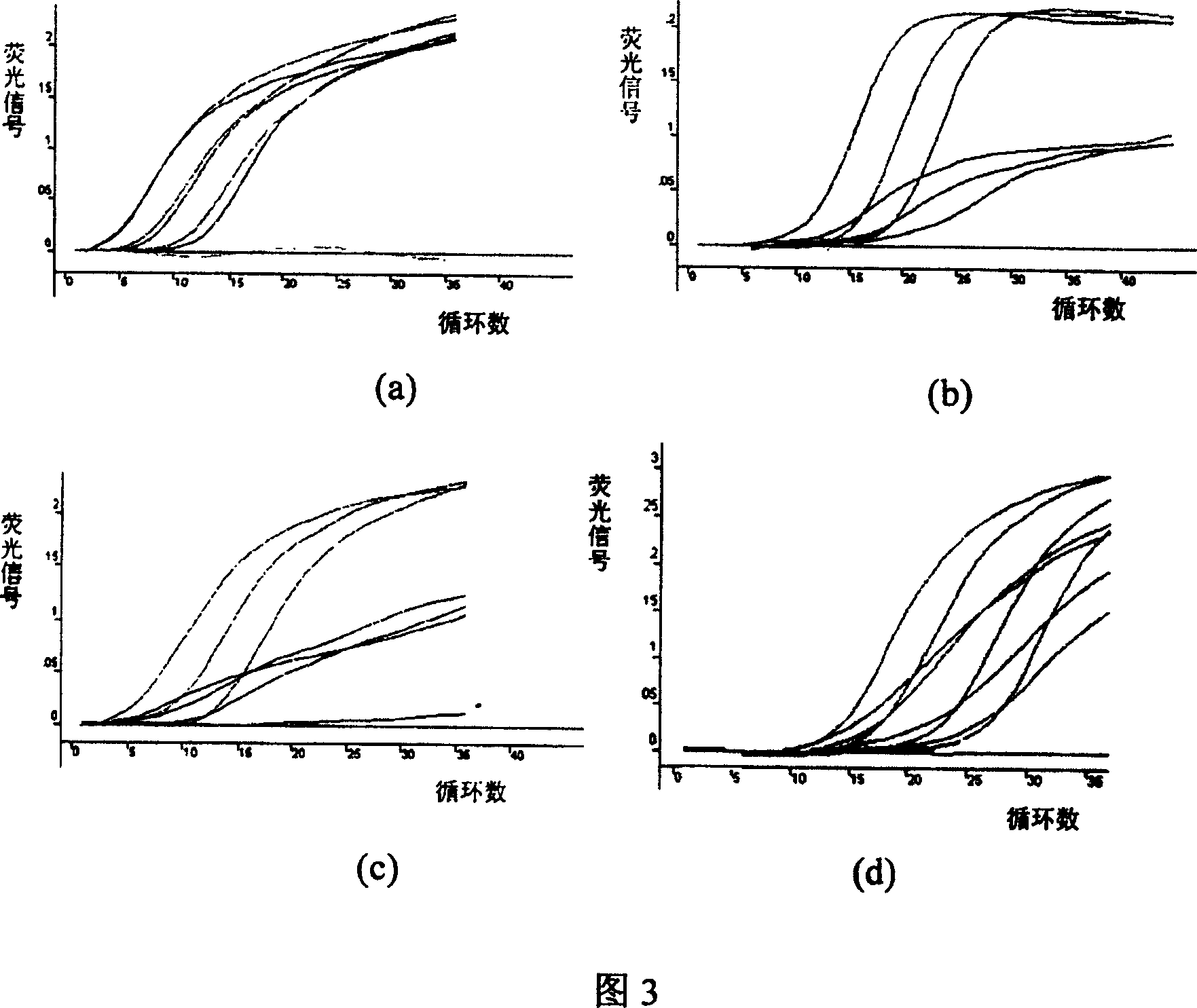 Method of multiplex fluorescence PCR ¿C improved molecule beacon for detecting pathogenesis bacterium stemmed from eating source