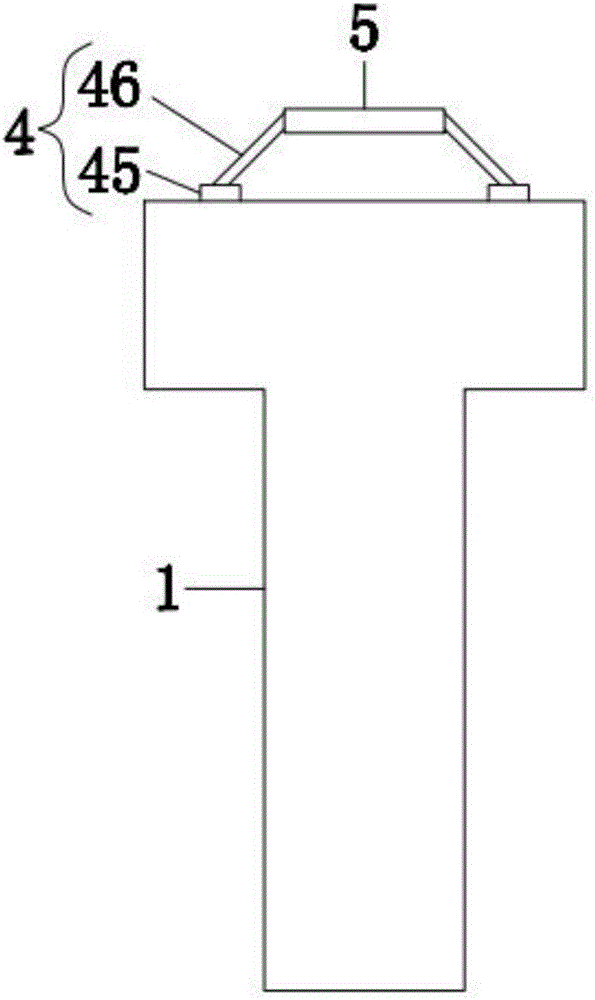 Tumor non-vascular interventional therapy apparatus