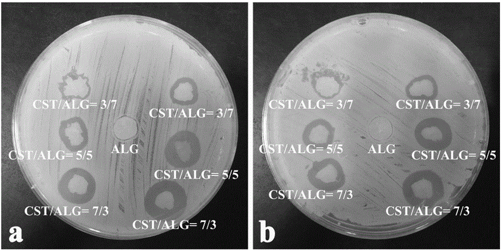 Chitosan alginate dressing and freeze-drying preparation method thereof