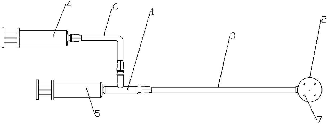 Disposable oral administration device and administration method