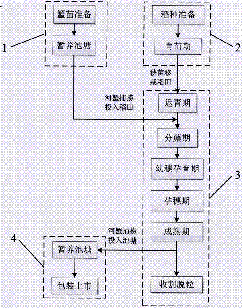 Method for preventing and controlling non-point source pollution of farmland by using rice-crab coculture