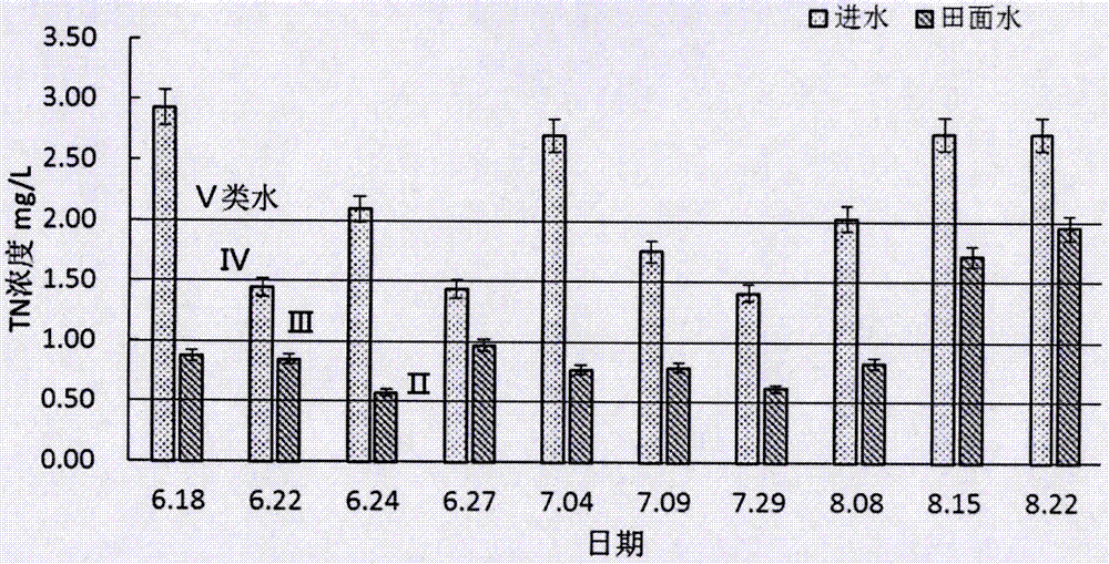 Method for preventing and controlling non-point source pollution of farmland by using rice-crab coculture