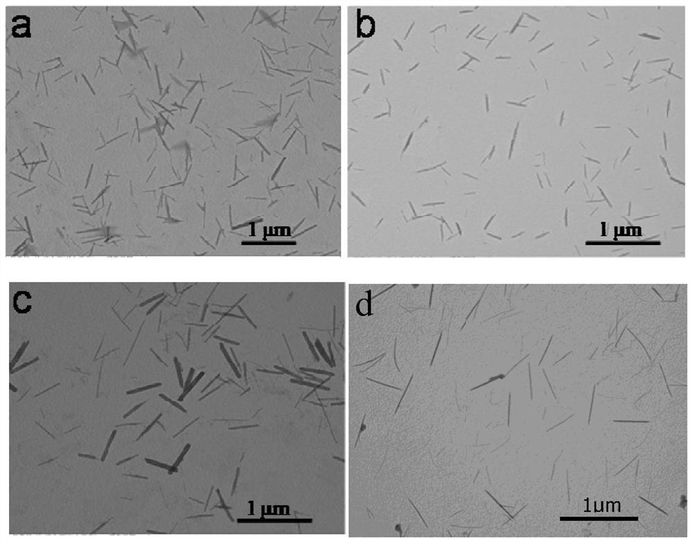 A kind of silver nanocluster fluorescent nanorod and its preparation method and its application in white light LED