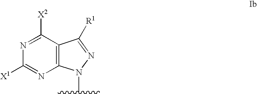 Modified oligonucleotides for mismatch discrimination