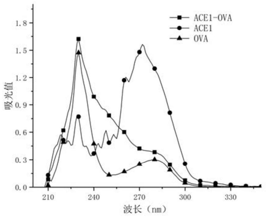 Artificial antigen and antibody capable of simultaneously detecting acetaminophen and phenacetin and preparation method and application of artificial antigen and antibody