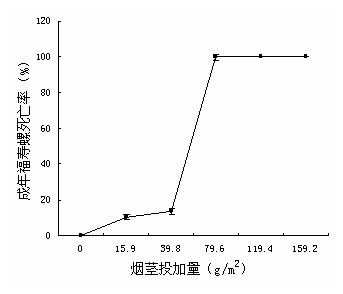 Method for killing amazonian snails by using tobacco stalks