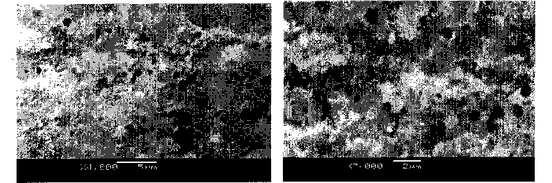 Three-dimensional gel network carrier and form-stable phase change composite material