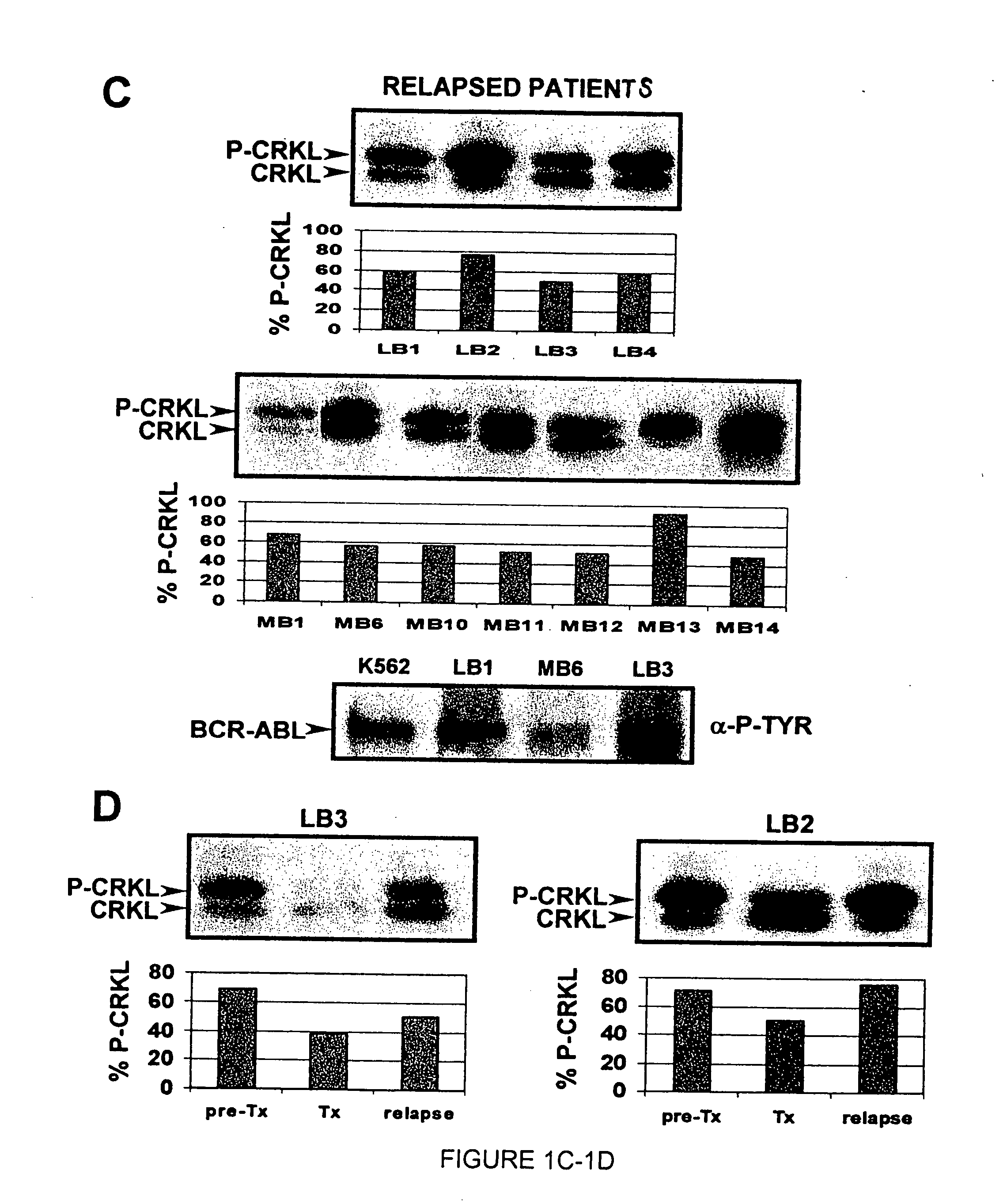 Mutations in the Bcr-Abl tyrosine kinase associated with resistance to STI-571