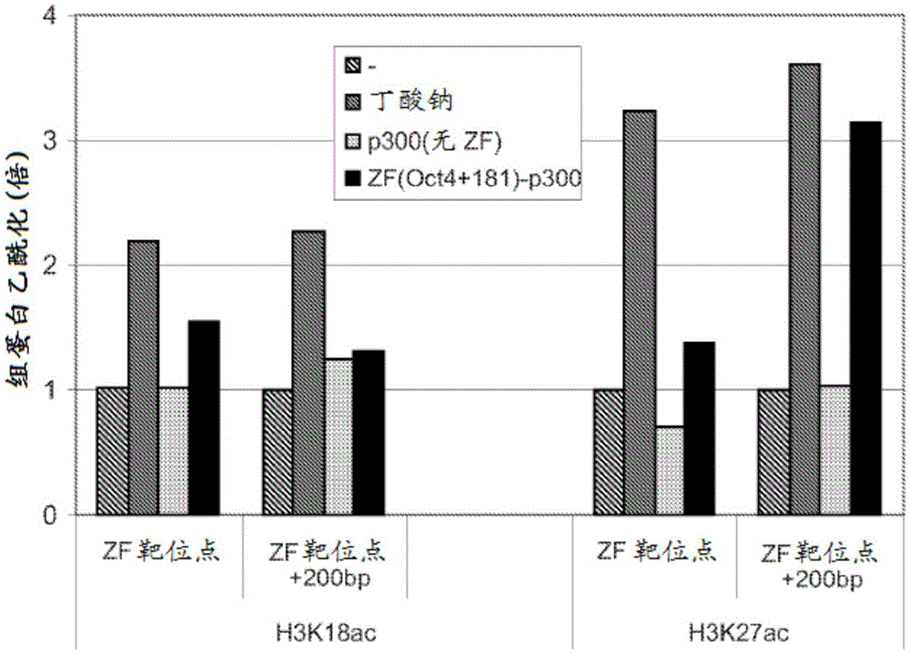 Targeted histone acetylation