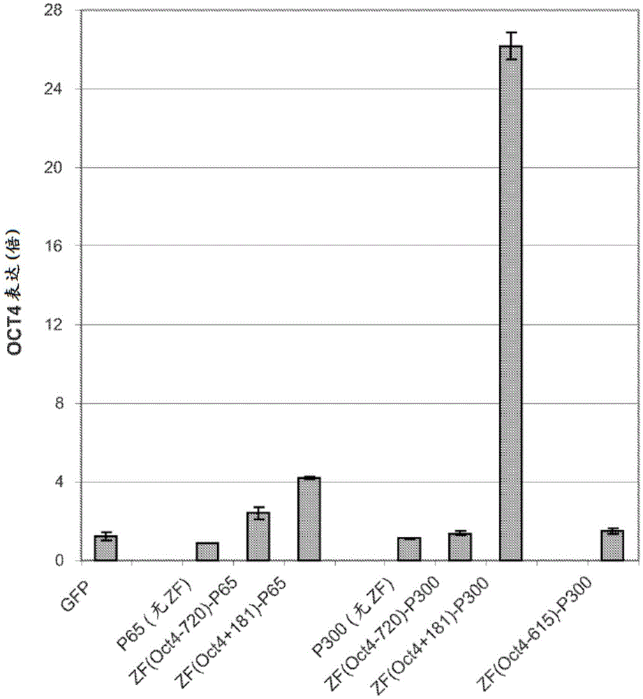 Targeted histone acetylation