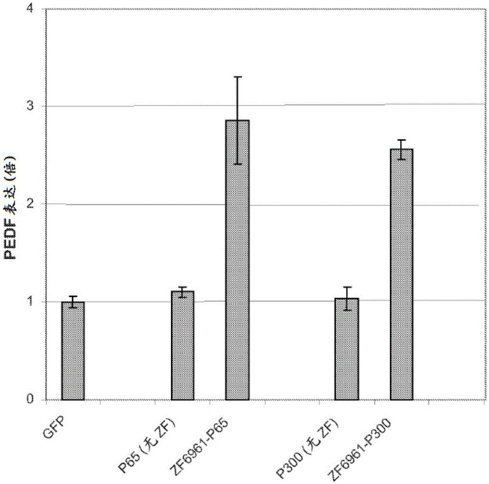 Targeted histone acetylation