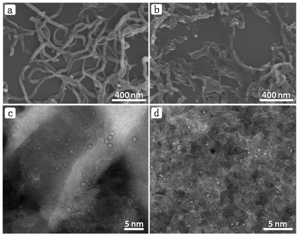 Preparation method of CNT-Zn monatomic catalytic material