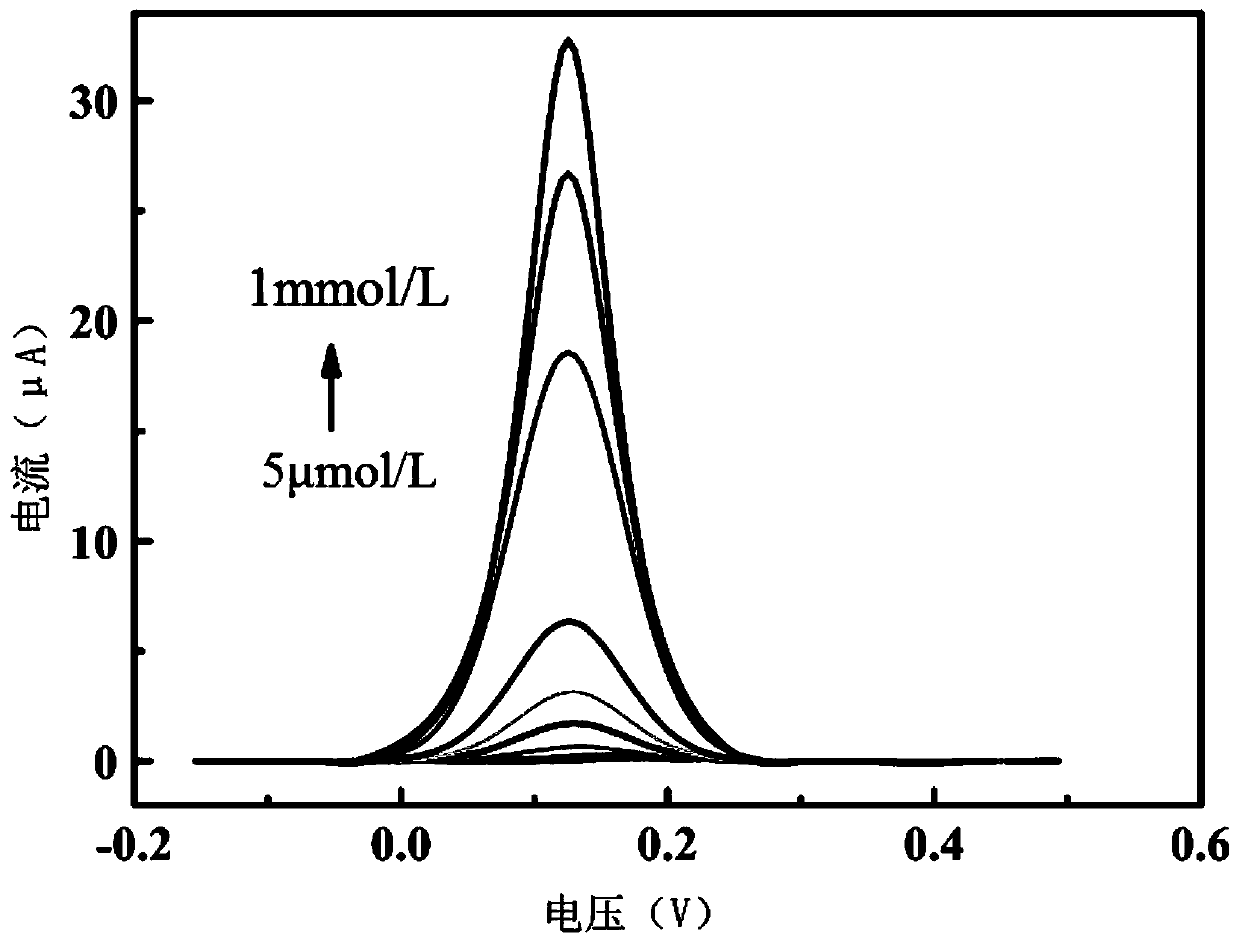 Preparation method of gold nanoparticle modified boron-doped diamond electrode and application