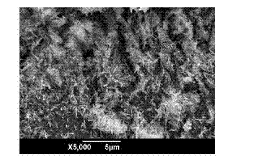 Method for preparing monoclinic Sm2O3 nanocrystal through solvothermal method