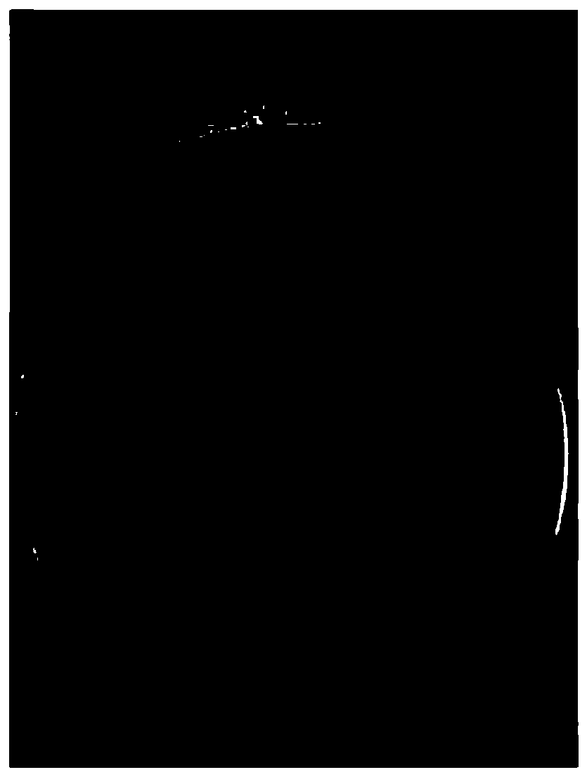 Dual-enhanced acidic lactase Pichia pastoris expression strain, and construction method and fermentation technology thereof