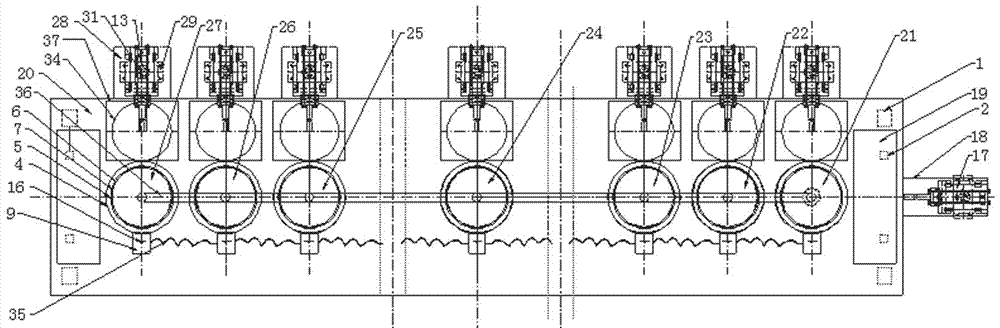 Automatic float-and-sink test apparatus with linear structure