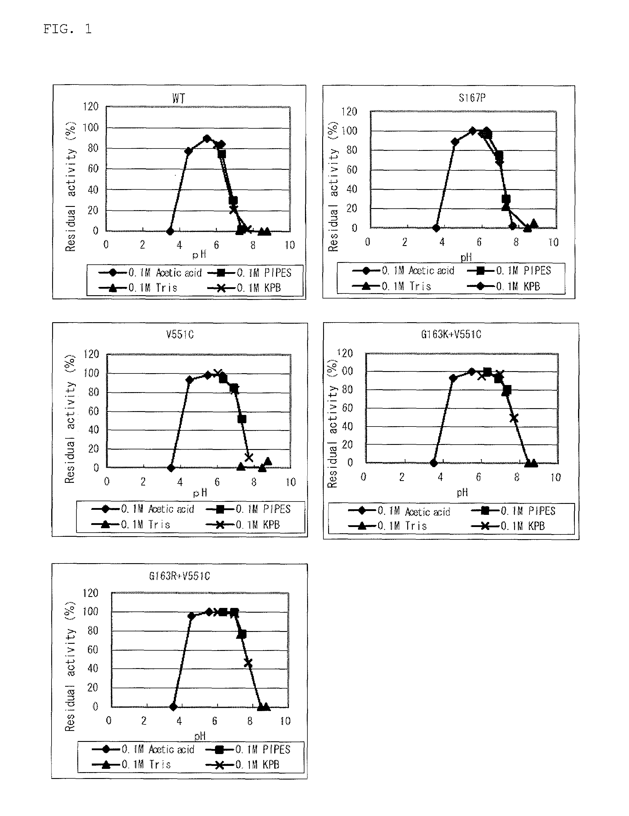 Modified flavin adenine dinucleotide dependent glucose dehydrogenase