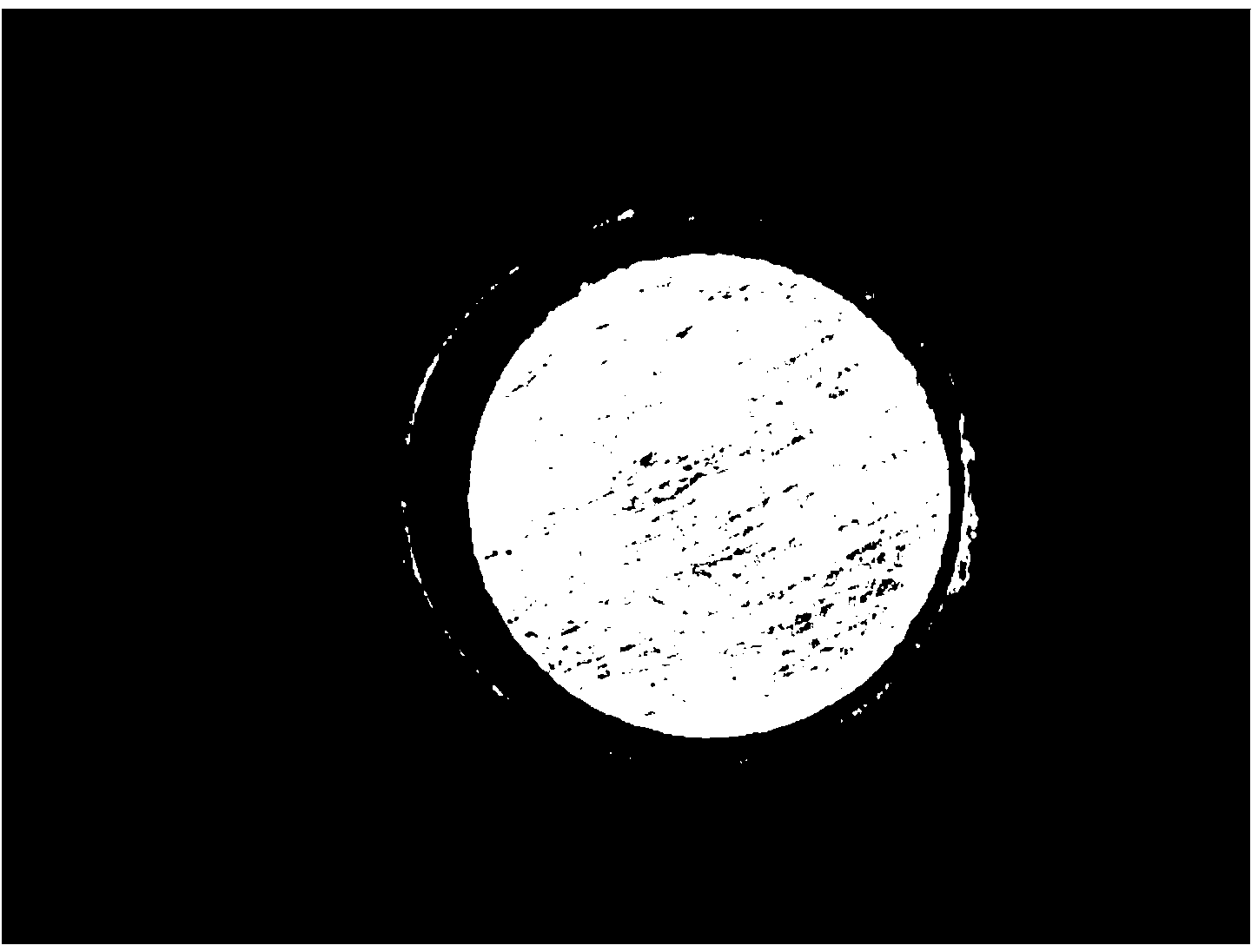 Round Mark point positioning method based on connected region filtering