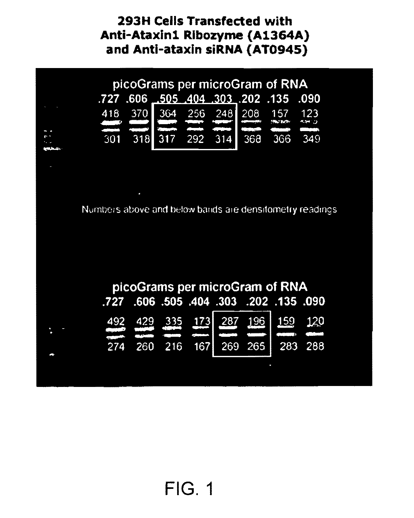 Treatment of neurodegenerative disease through intracranial delivery of siRNA