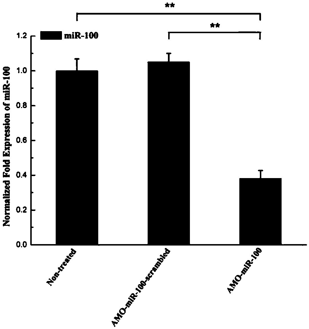 Application of a kind of mir-100 inhibitor in preparation of medicine for treating breast cancer