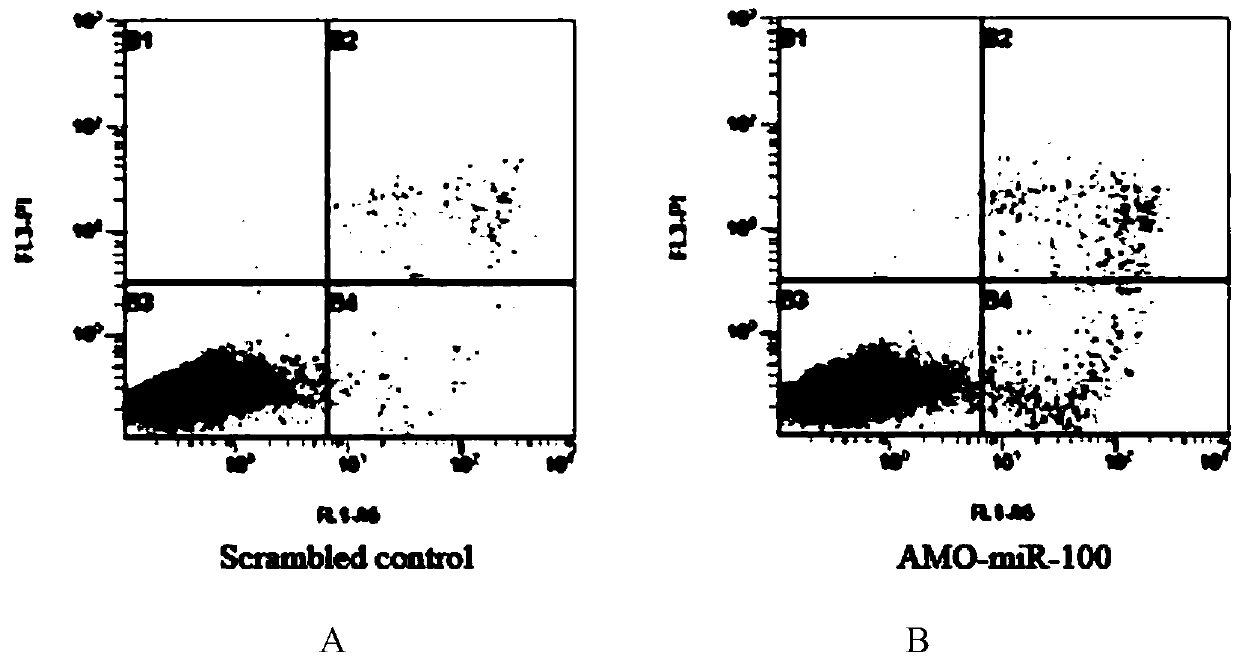 Application of a kind of mir-100 inhibitor in preparation of medicine for treating breast cancer