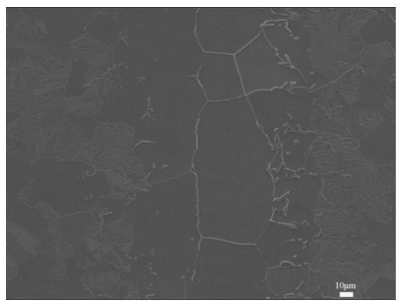 A method of instantaneous liquid phase diffusion bonding for reliable joints of rafm steel