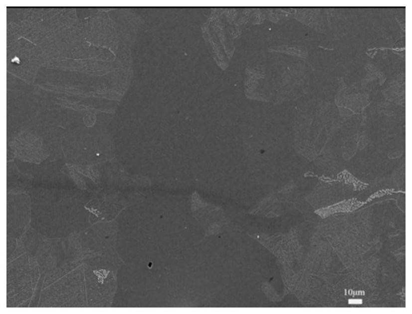 A method of instantaneous liquid phase diffusion bonding for reliable joints of rafm steel