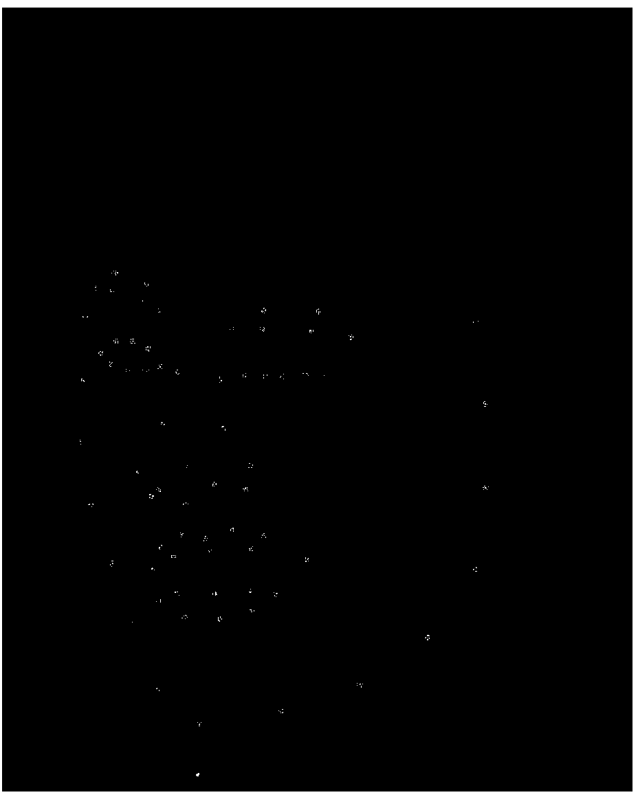 Facial feature point tracking and facial animation method based on single video vidicon